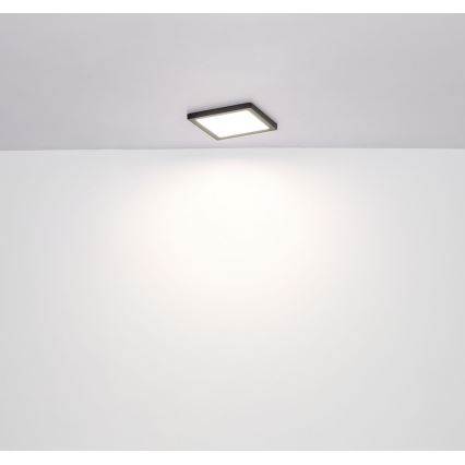 Globo - Светодиодный потолочный светильник LED/12W/230V 3000/4000/6500K черный