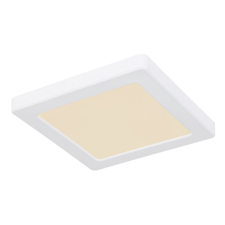 Globo - Светодиодный потолочный светильник LED/12W/230V 3000/4000/6500K белый