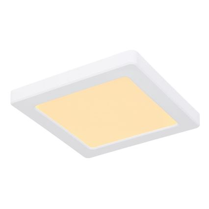 Globo - Світлодіодний стельовий світильник LED/12W/230V 3000/4000/6500K білий