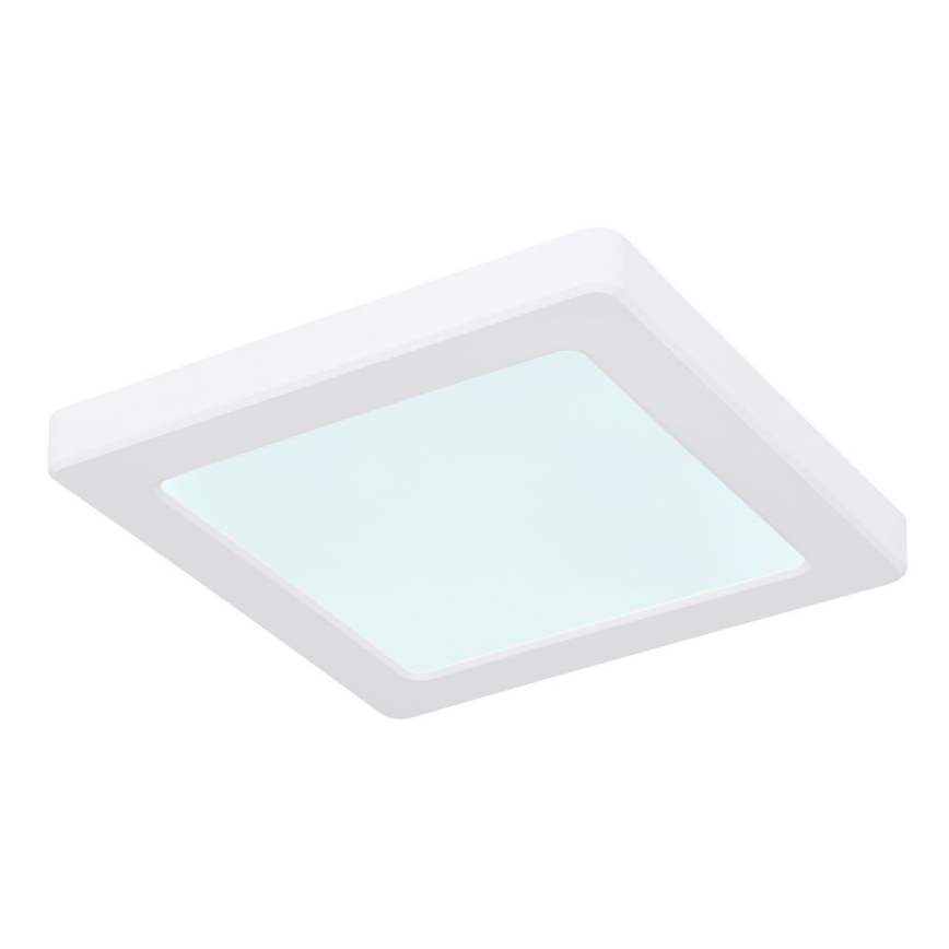 Globo - Світлодіодний стельовий світильник LED/12W/230V 3000/4000/6500K білий