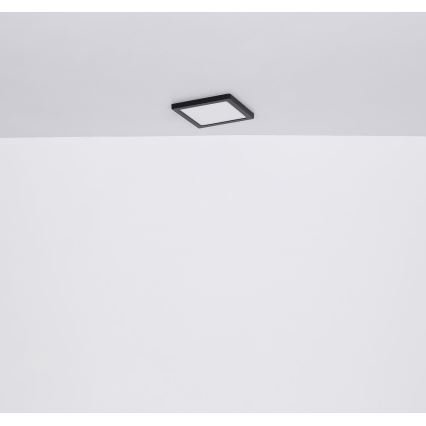 Globo - Стельовий LED світильник LED/18W/230V 3000/4000/6500K чорний