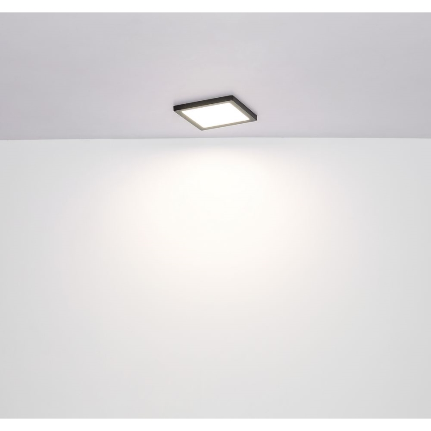 Globo - Светодиодный потолочный светильник LED/18W/230V 3000/4000/6500K черный