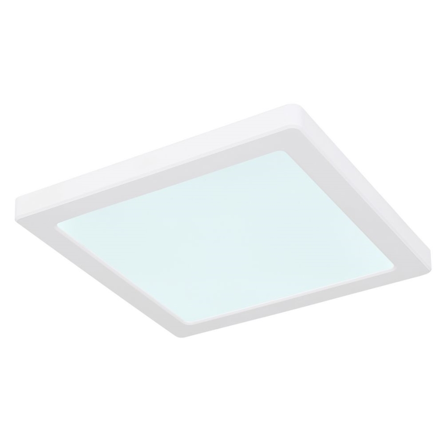 Globo - Світлодіодний стельовий світильник LED/18W/230V 3000/4000/6500K білий