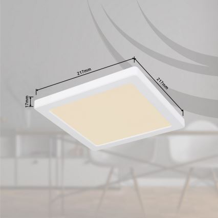 Globo - Світлодіодний стельовий світильник LED/18W/230V 3000/4000/6500K білий