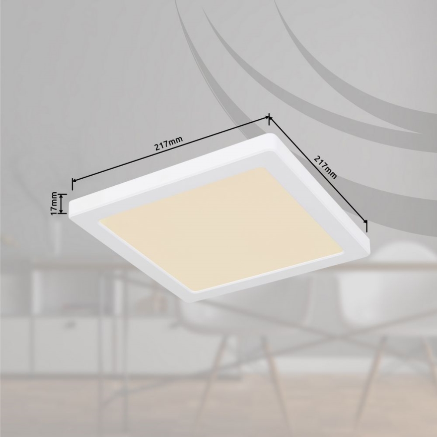 Globo - Світлодіодний стельовий світильник LED/18W/230V 3000/4000/6500K білий