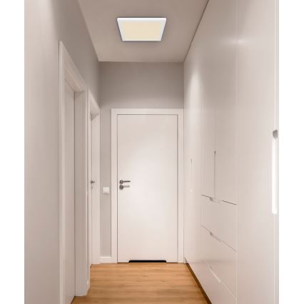 Globo - Стельовий LED світильник LED/24W/230V 3000/4000/6500K білий