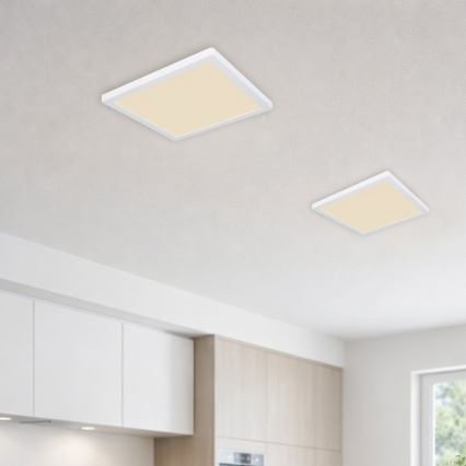 Globo - Стельовий LED світильник LED/24W/230V 3000/4000/6500K білий