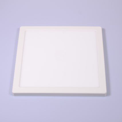 Globo - Стельовий LED світильник LED/24W/230V 3000/4000/6500K білий