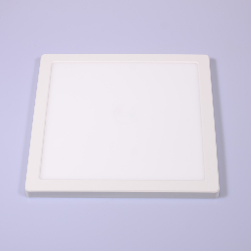 Globo - Стельовий LED світильник LED/24W/230V 3000/4000/6500K білий