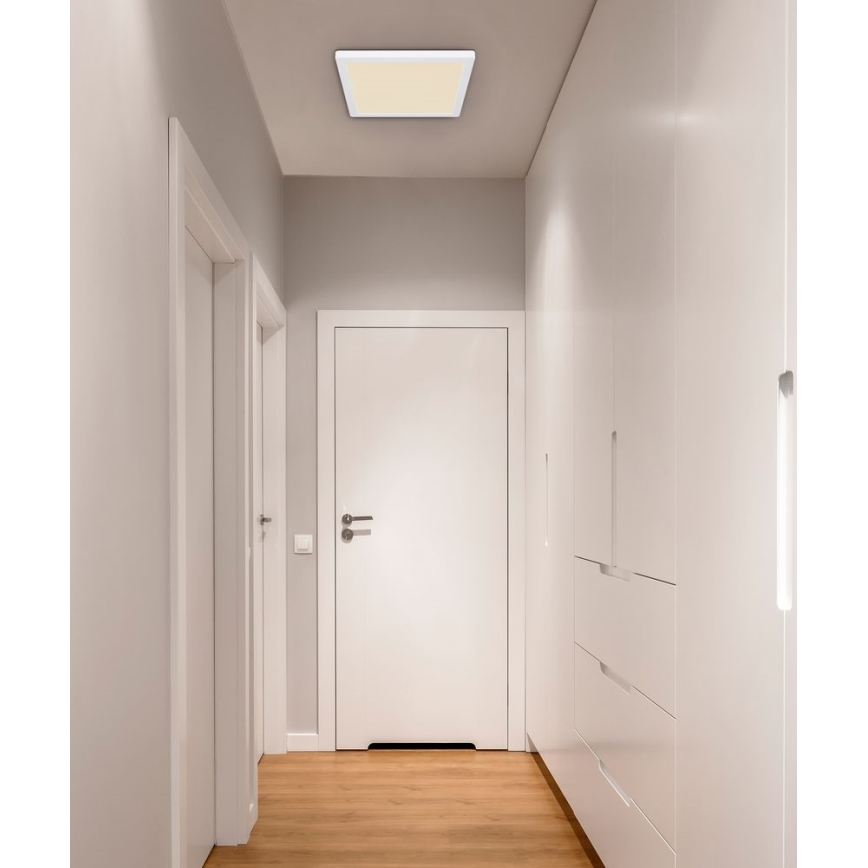 Globo - Светодиодный потолочный светильник LED/24W/230V 3000/4000/6500K белый