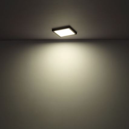 Globo - Светодиодный потолочный светильник LED/24W/230V 3000/4000/6500K белый