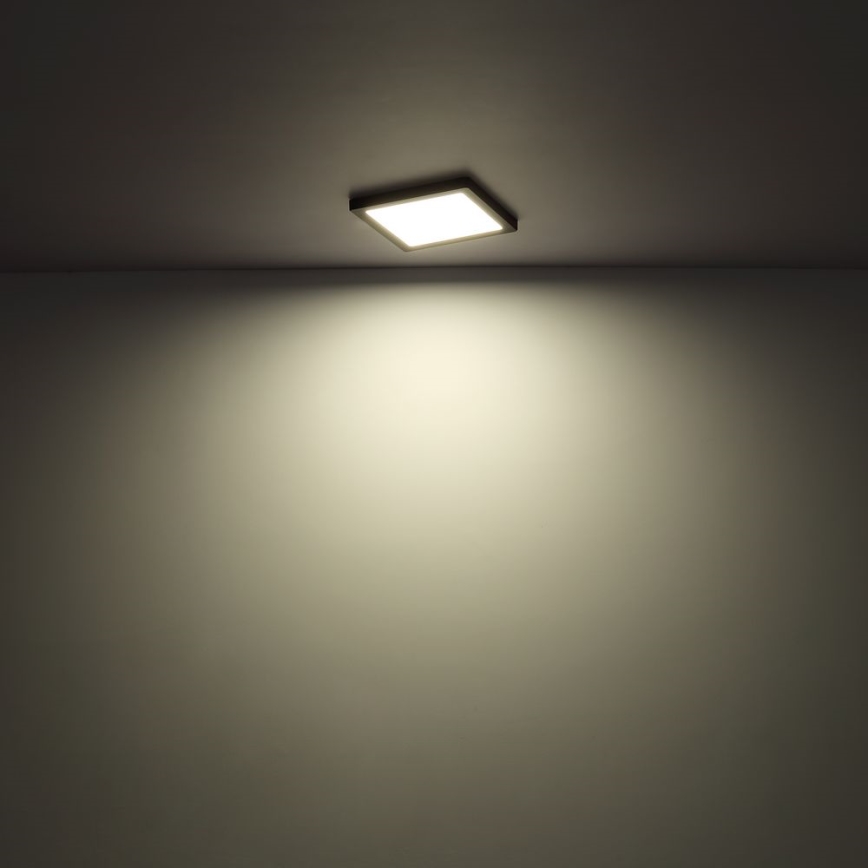 Globo - Светодиодный потолочный светильник LED/24W/230V 3000/4000/6500K белый