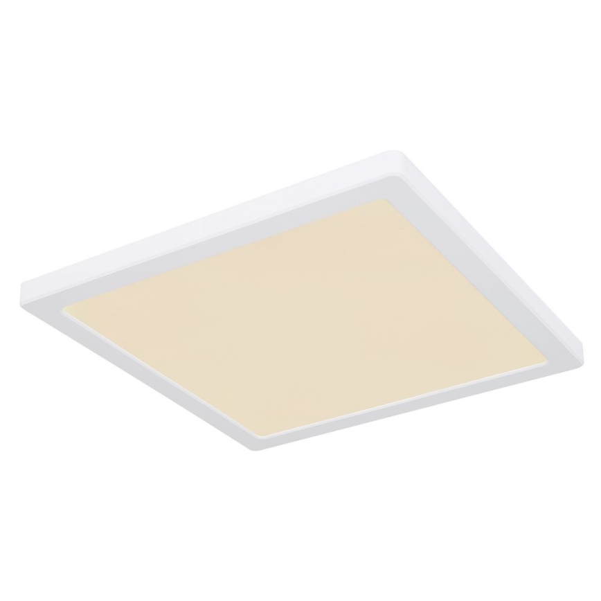 Globo - Светодиодный потолочный светильник LED/24W/230V 3000/4000/6500K белый