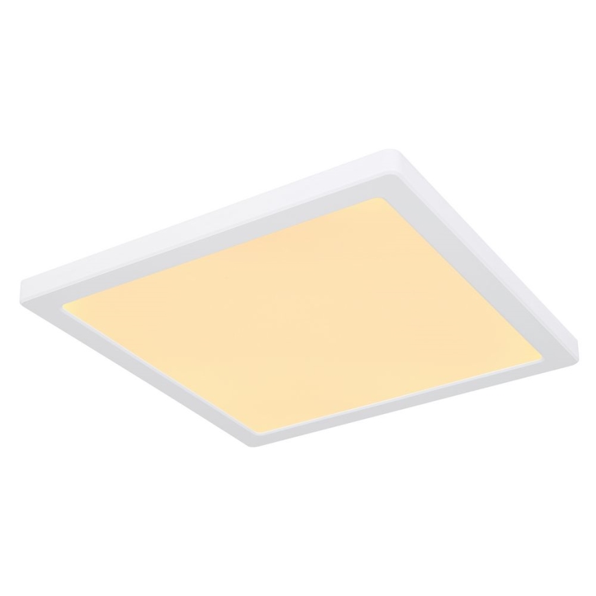 Globo - Светодиодный потолочный светильник LED/24W/230V 3000/4000/6500K белый