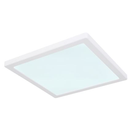 Globo - Светодиодный потолочный светильник LED/24W/230V 3000/4000/6500K белый