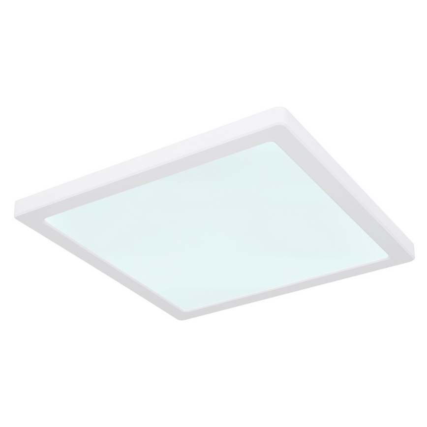 Globo - Светодиодный потолочный светильник LED/24W/230V 3000/4000/6500K белый