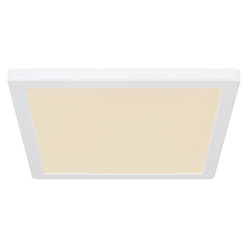 Globo - Светодиодный потолочный светильник LED/24W/230V 3000/4000/6500K белый