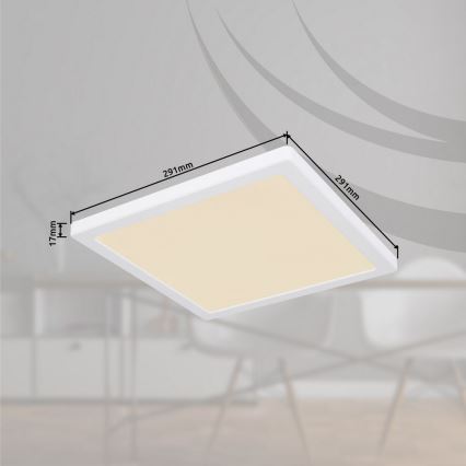 Globo - Светодиодный потолочный светильник LED/24W/230V 3000/4000/6500K белый