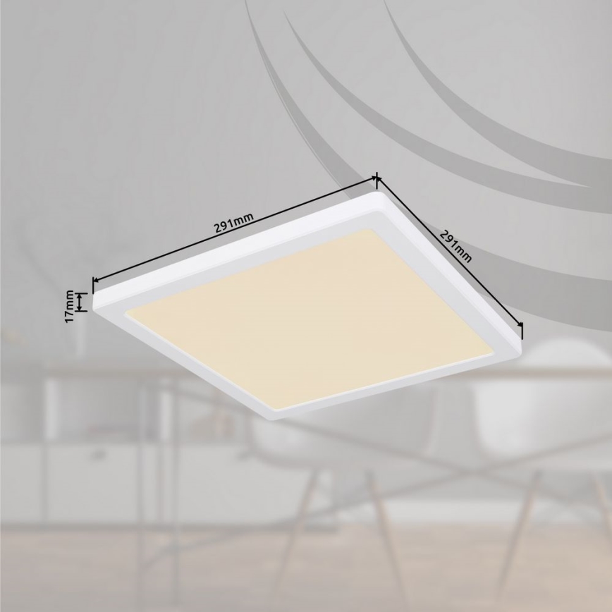Globo - Светодиодный потолочный светильник LED/24W/230V 3000/4000/6500K белый