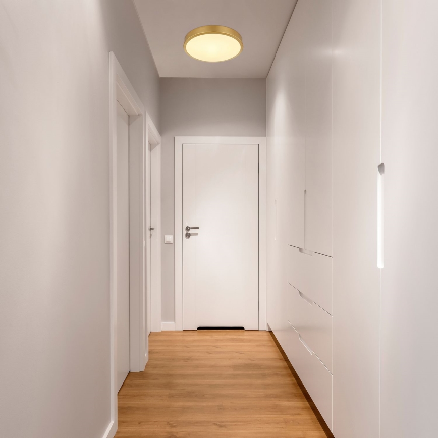 Globo - Стельовий LED світильник LED/15W/230V діаметр 25 см