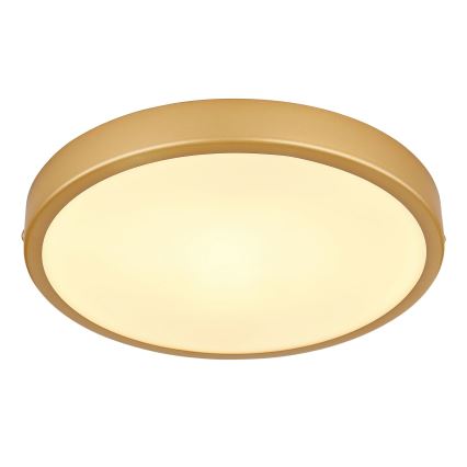 Globo - Светодиодный потолочный светильник LED/15W/230V диаметр 25 см