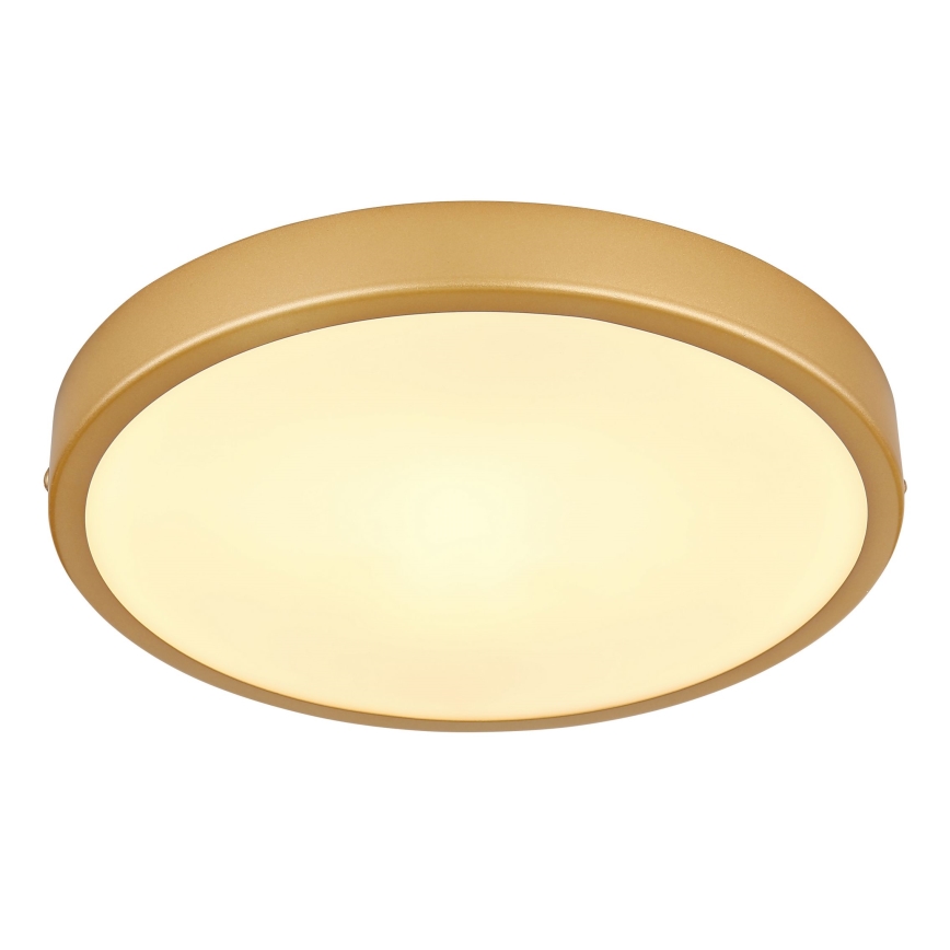 Globo - Светодиодный потолочный светильник LED/15W/230V диаметр 25 см