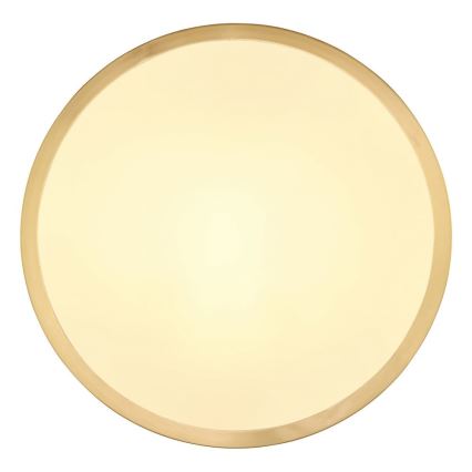 Globo - Светодиодный потолочный светильник LED/15W/230V диаметр 25 см
