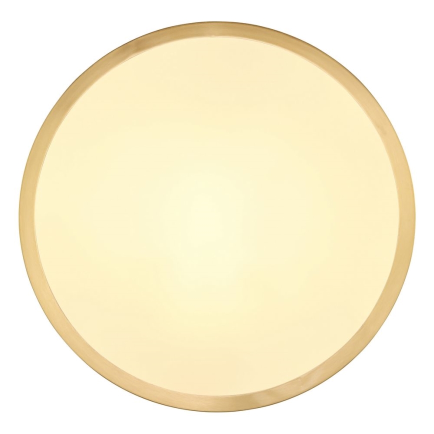 Globo - Светодиодный потолочный светильник LED/15W/230V диаметр 25 см