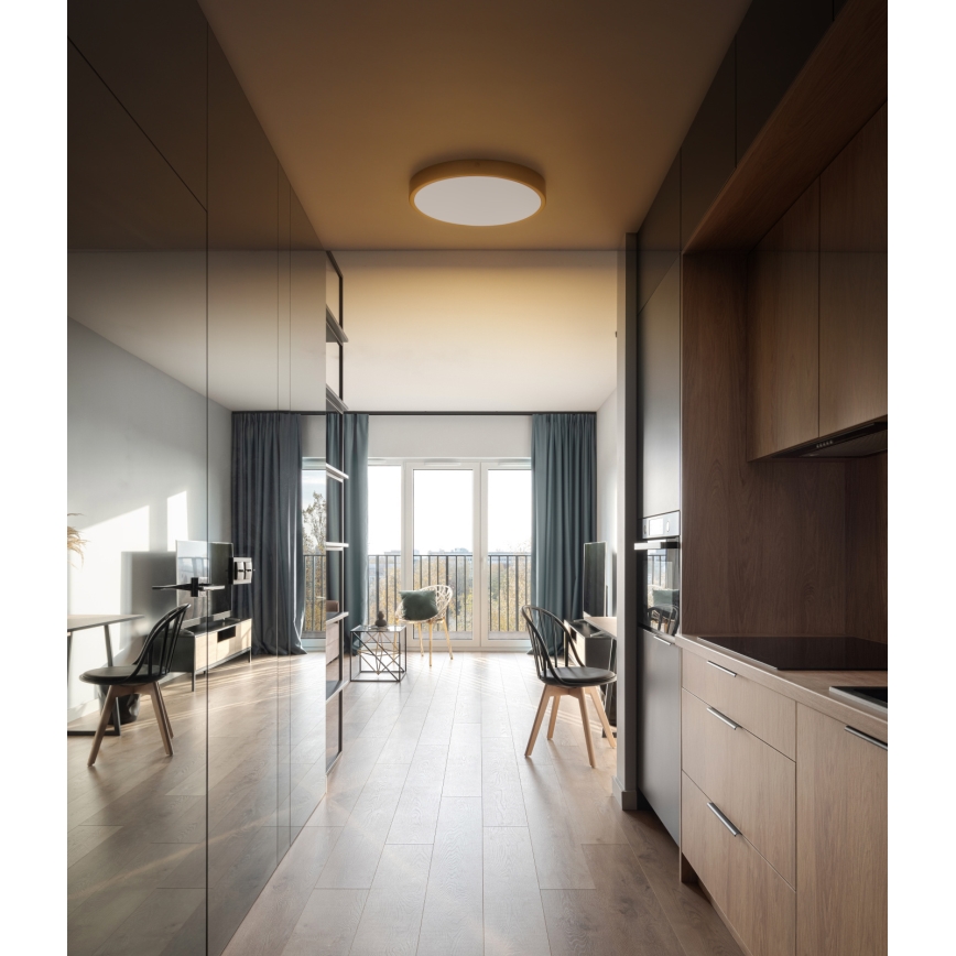 Globo - Стельовий LED світильник LED/22W/230V діаметр 35 см