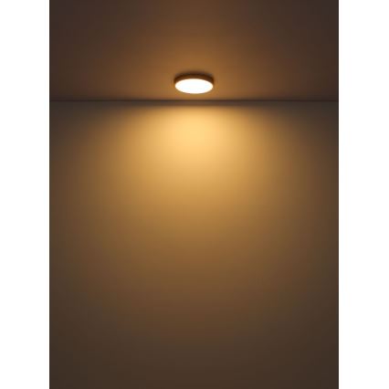 Globo - Стельовий LED світильник LED/22W/230V діаметр 35 см