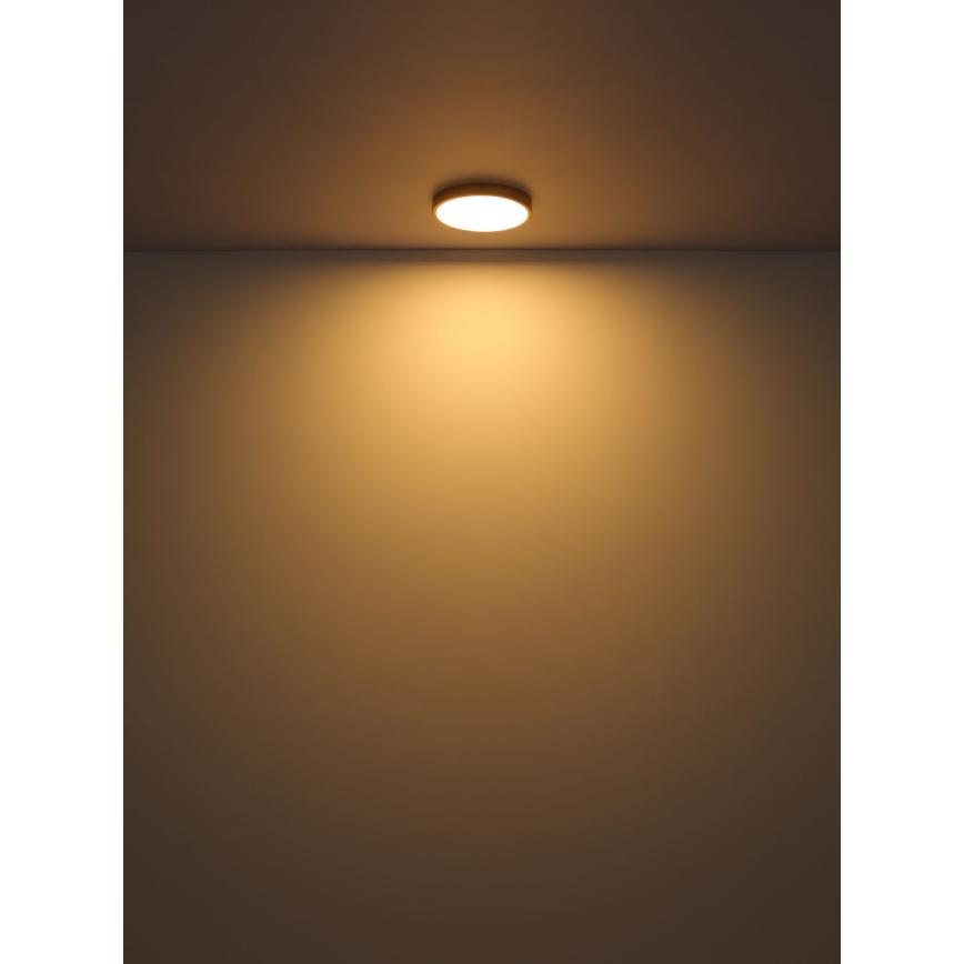Globo - Стельовий LED світильник LED/22W/230V діаметр 35 см
