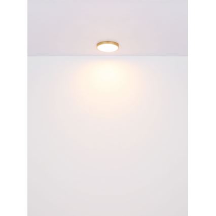 Globo - Стельовий LED світильник LED/22W/230V діаметр 35 см