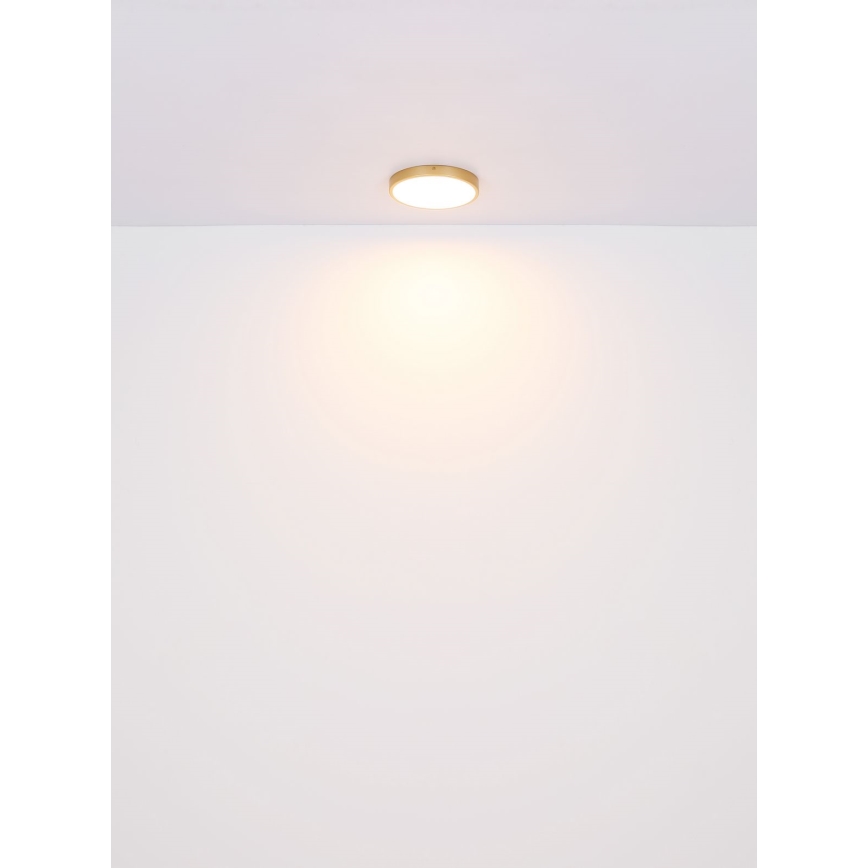 Globo - Стельовий LED світильник LED/22W/230V діаметр 35 см