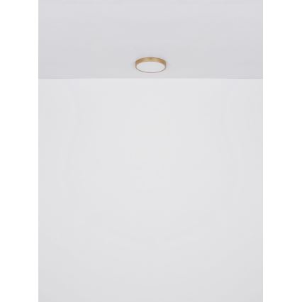 Globo - Стельовий LED світильник LED/22W/230V діаметр 35 см