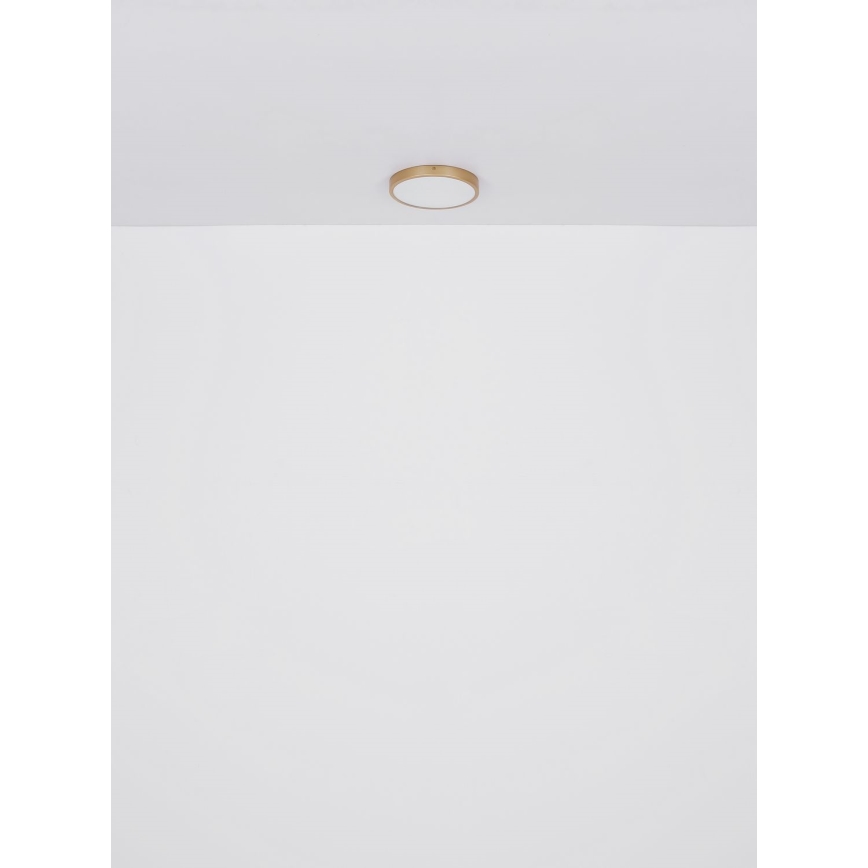 Globo - Стельовий LED світильник LED/22W/230V діаметр 35 см