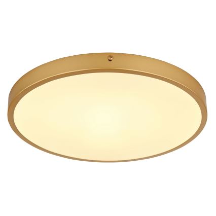Globo - Стельовий LED світильник LED/22W/230V діаметр 35 см