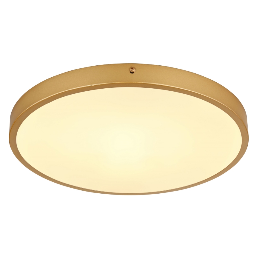 Globo - Стельовий LED світильник LED/22W/230V діаметр 35 см