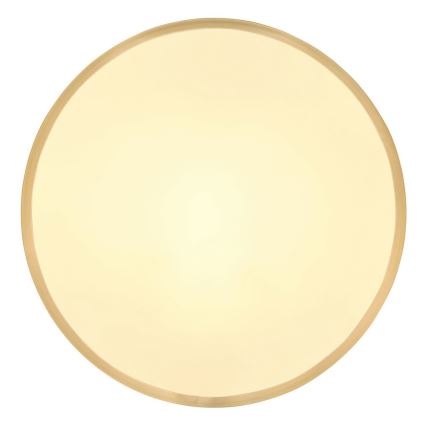 Globo - Светодиодный потолочный светильник LED/22W/230V диаметр 35 см