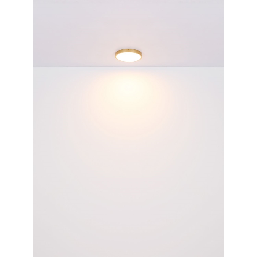 Globo - Стельовий LED світильник LED/30W/230V діаметр 45 см