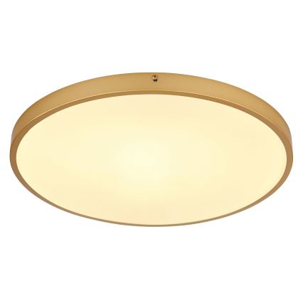Globo - Стельовий LED світильник LED/30W/230V діаметр 45 см