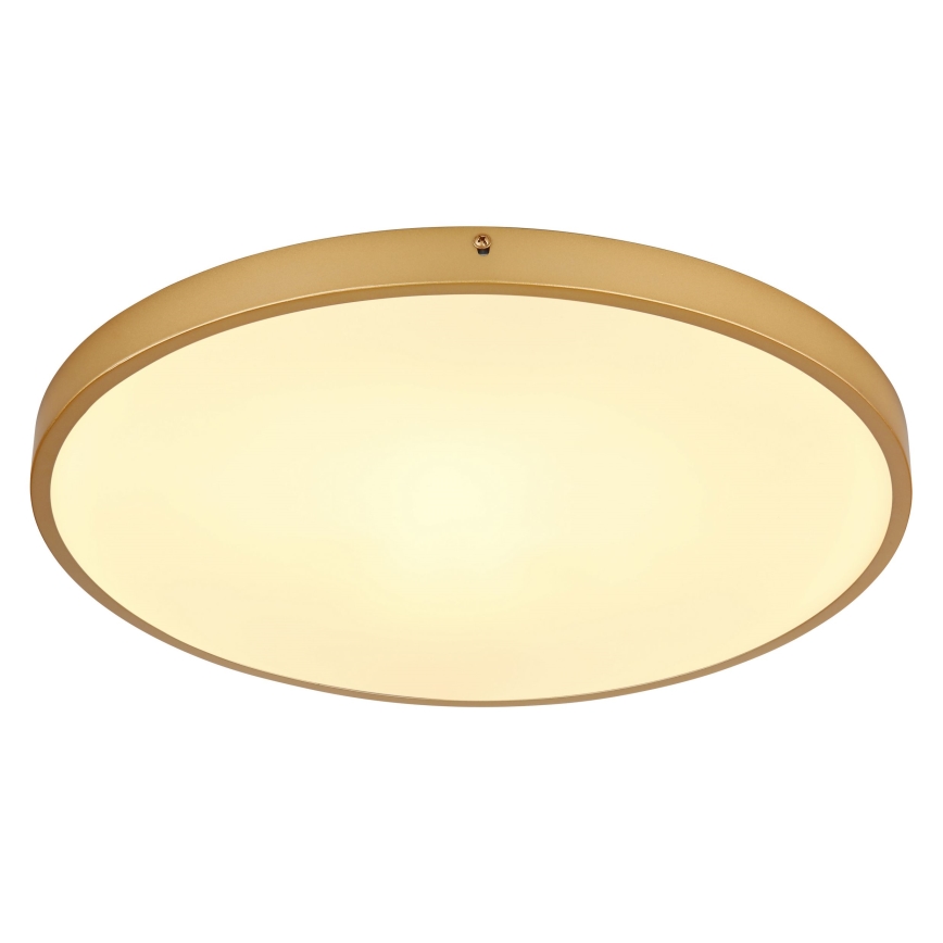 Globo - Стельовий LED світильник LED/30W/230V діаметр 45 см