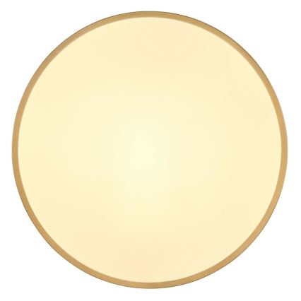 Globo - Стельовий LED світильник LED/30W/230V діаметр 45 см