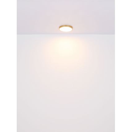 Globo - Светодиодный потолочный светильник LED/30W/230V диаметр 45 см
