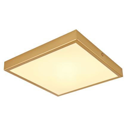 Globo - Стельовий LED світильник LED/15W/230V 25x25 см