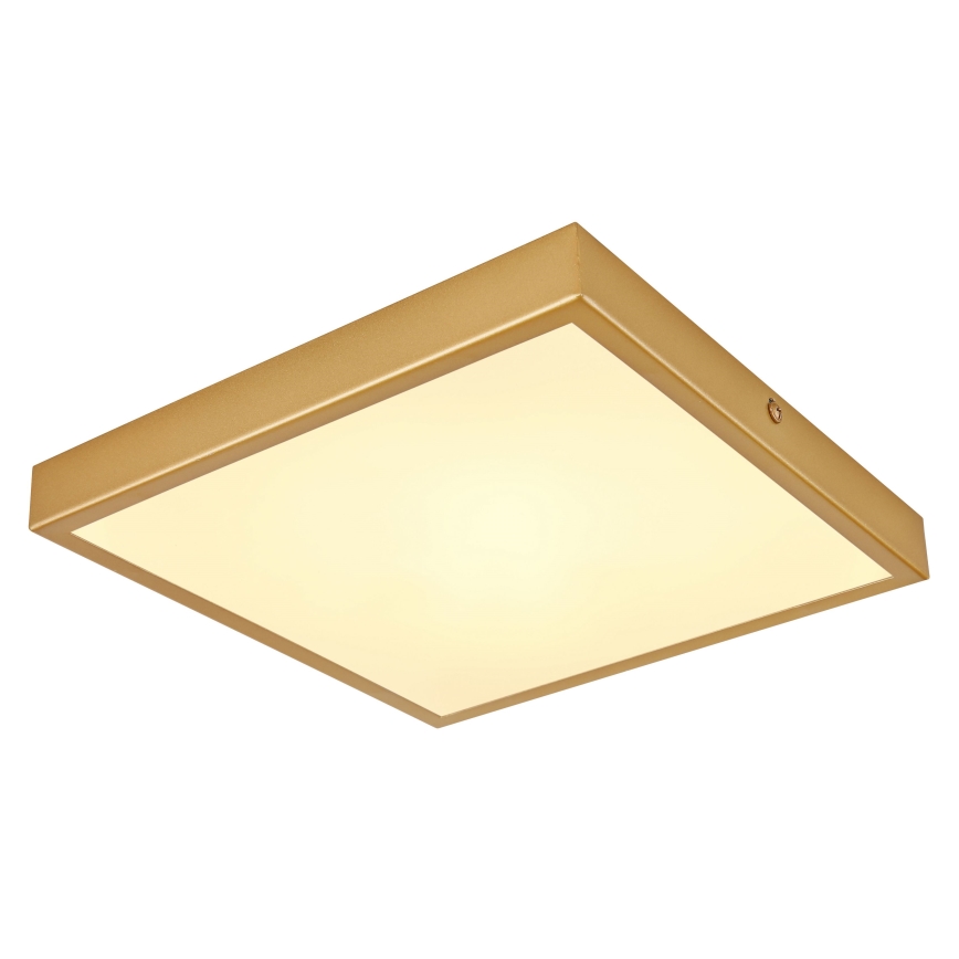 Globo - Стельовий LED світильник LED/15W/230V 25x25 см