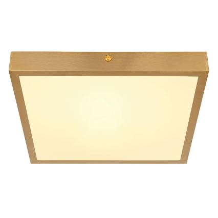 Globo - Стельовий LED світильник LED/15W/230V 25x25 см