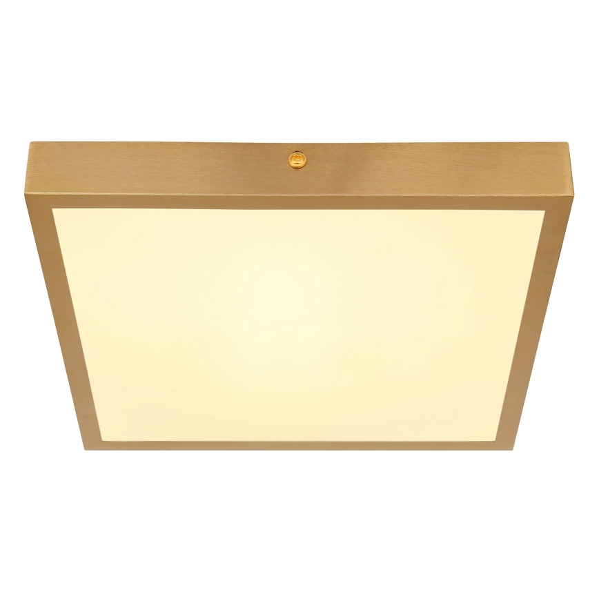 Globo - Стельовий LED світильник LED/15W/230V 25x25 см