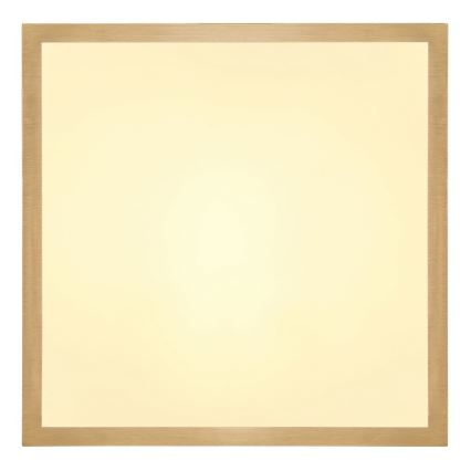 Globo - Стельовий LED світильник LED/15W/230V 25x25 см