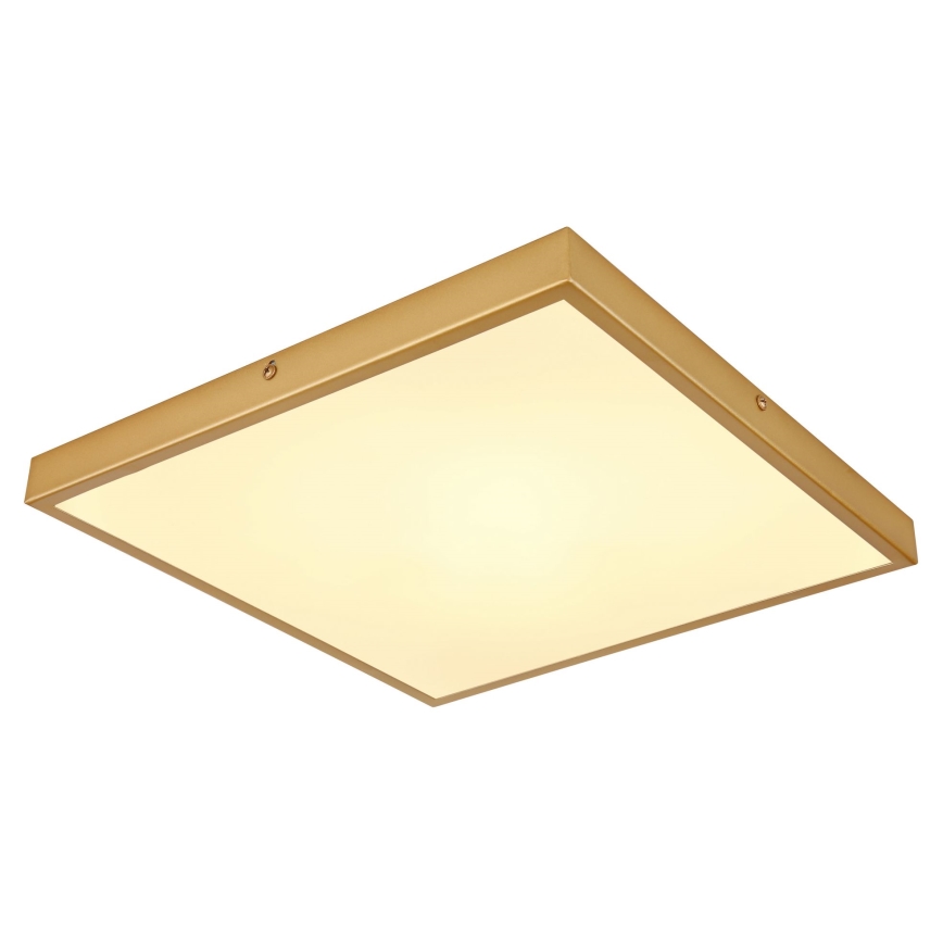 Globo - Стельовий LED світильник LED/22W/230V 35x35 см