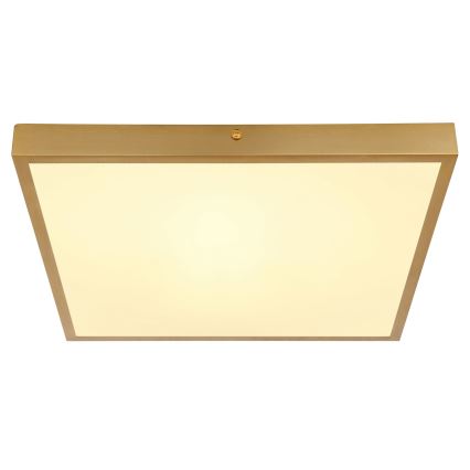Globo - Стельовий LED світильник LED/22W/230V 35x35 см